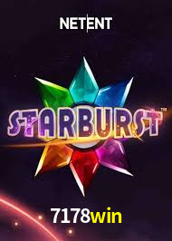 Premium Interface 7178win